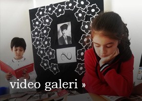 video galeri