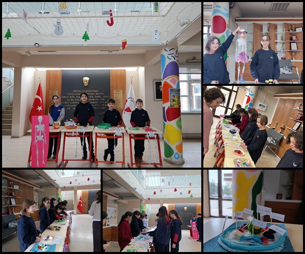 , 5. Sınıflarda Hücre ve İskelet Sistemi Sunumları…