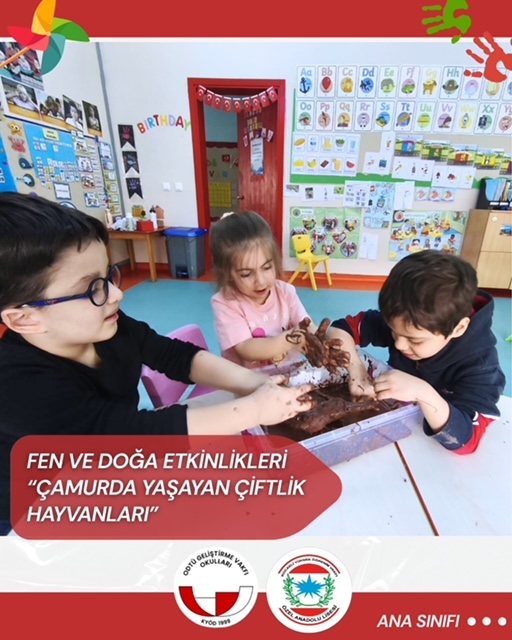 , Hangi Hayvanlar &Ccedil;amurda Olmayı Sever?…