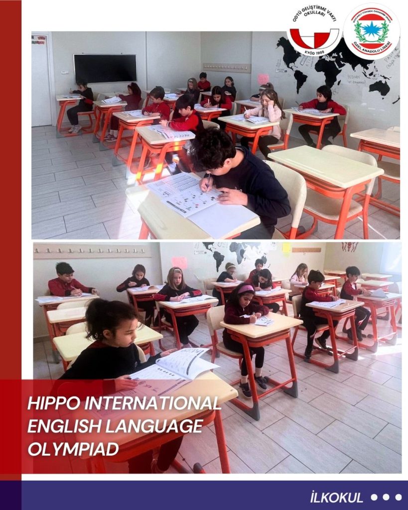 , Hippo Dil Sınavı…