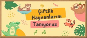 Hangi Hayvanlar Çamurda Olmayı Sever?...